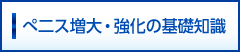 ぺ二ス増大・強化の基礎知識